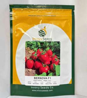 بذر گوجه فرنگی برنووا